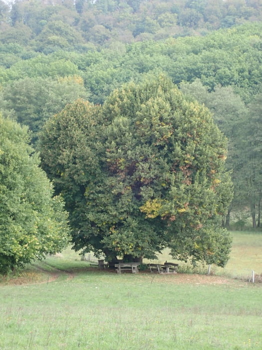 Braunsteinhaus - Steinmühlental