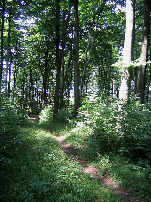 Gehrdener- und Benther Berg