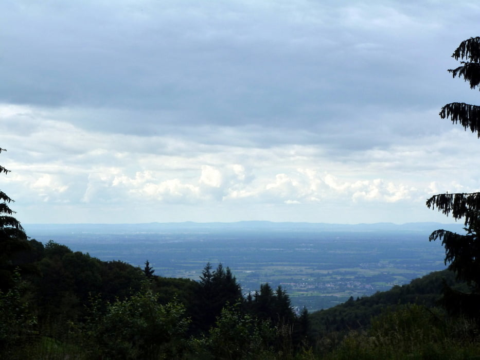 Baiersbronn Grimmerswald Schönbüch und zurück