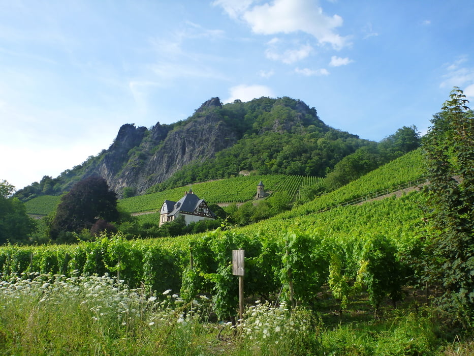 Bad Honnef - Lohrberg - Löwenburg - Tretschbachtal