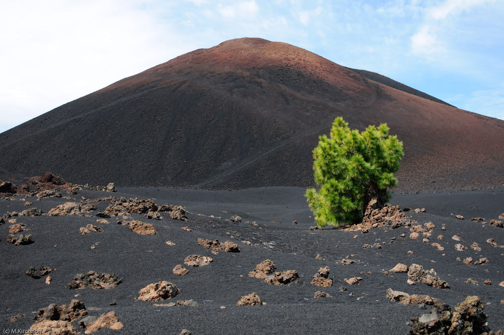 Chinyero - neuer Weg durchs Lavafeld