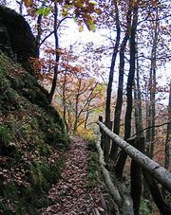 Nideggen über Wanderwege und Rurtalweg