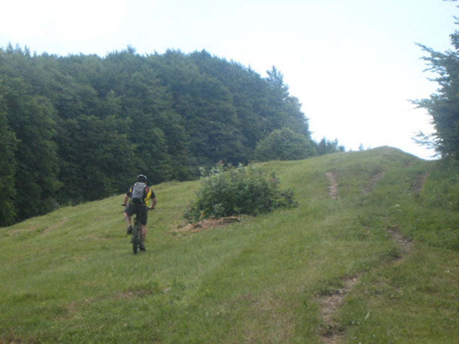 Laška pot