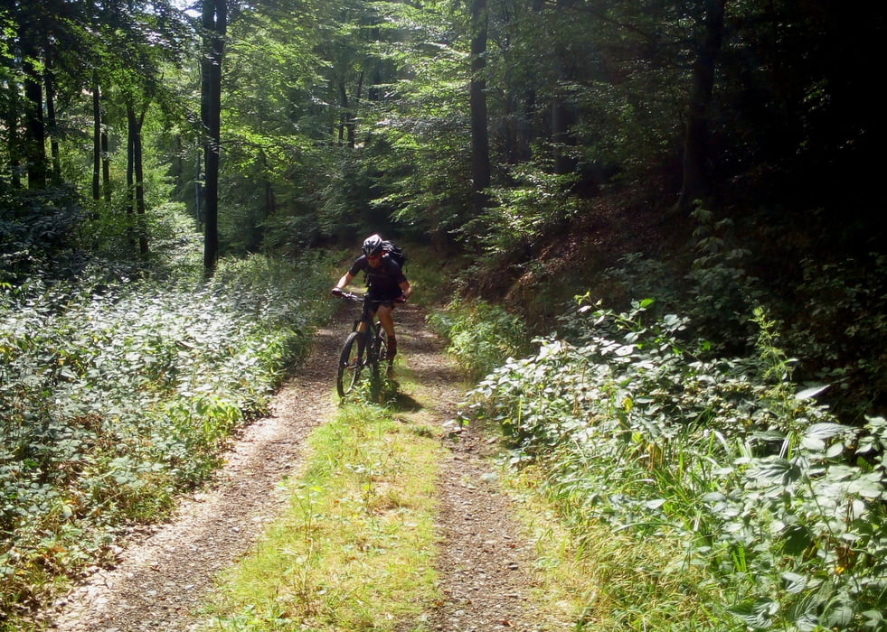 DSMTBV Deister 3 trails Schnepfengrund, Klappstuhl, Rampage Aussichtsturm, Chain Saw