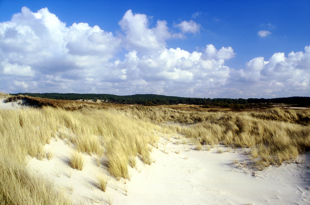 Rondtrip zandvoort