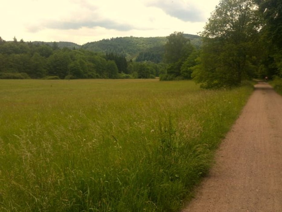Dörrenbach - Schönau