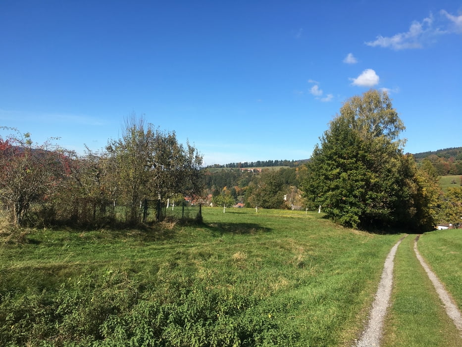 Rundtour Fremersberg-Schafberg-Baden-Oos