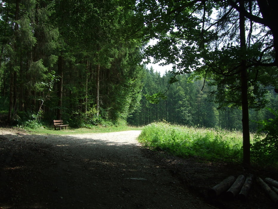 Rund um den Zinnkopf