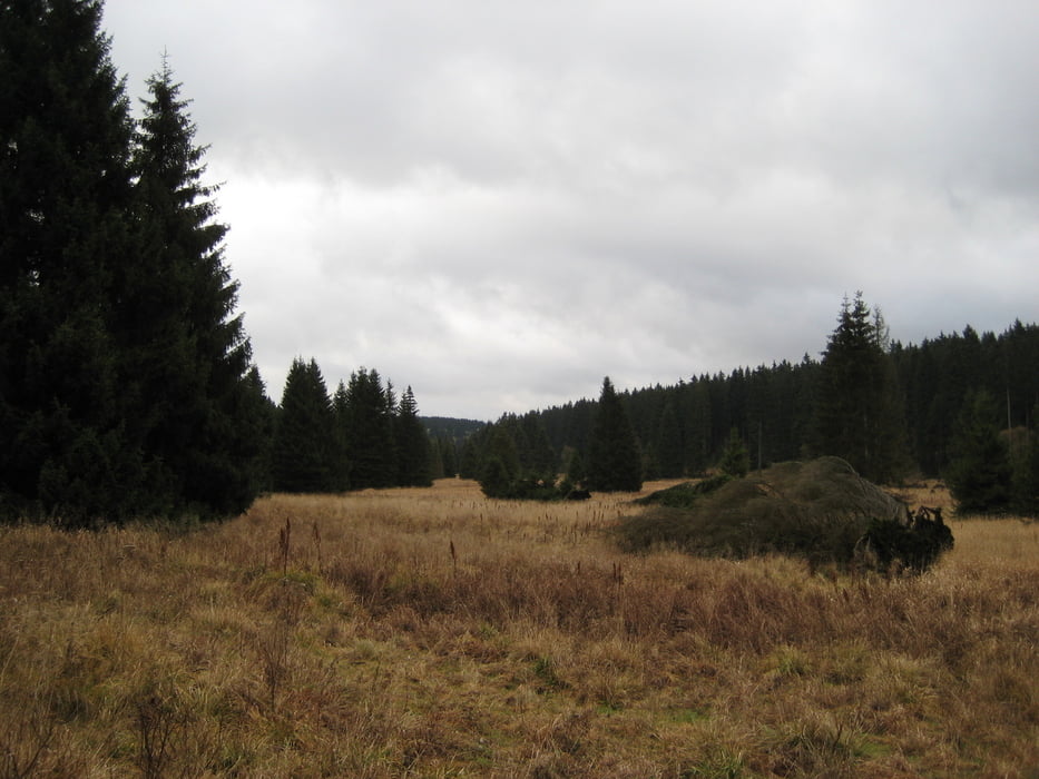 Harzer Grenzweg Teil2 Braunlage-Ellrich