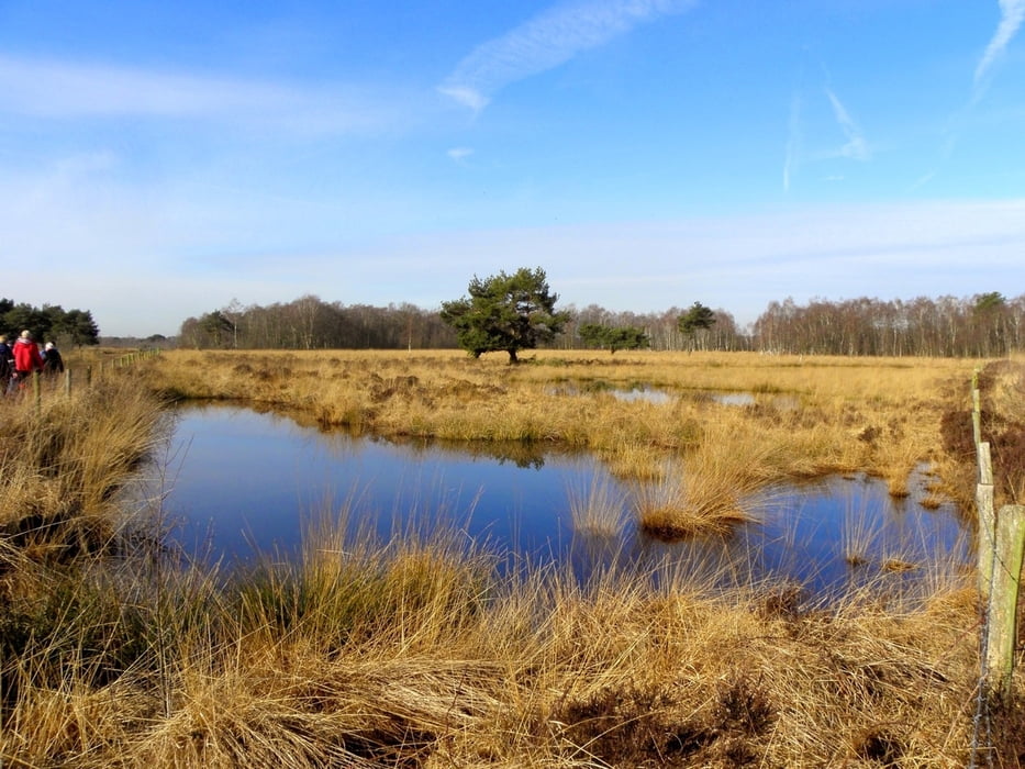 Rondwandeling De Groote Peel