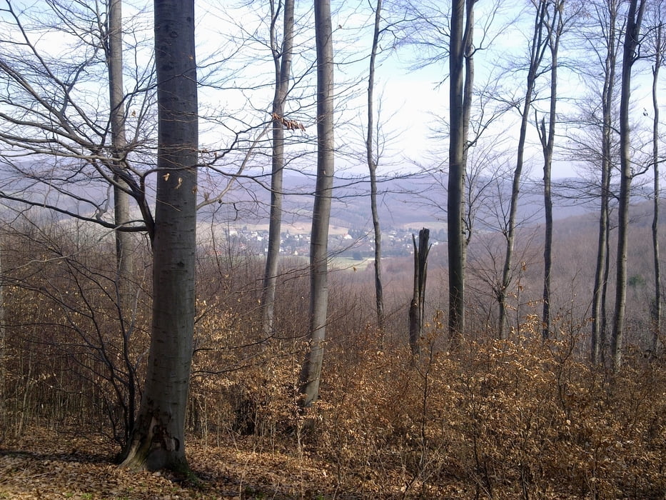 Von Laab zum Hafnerberg