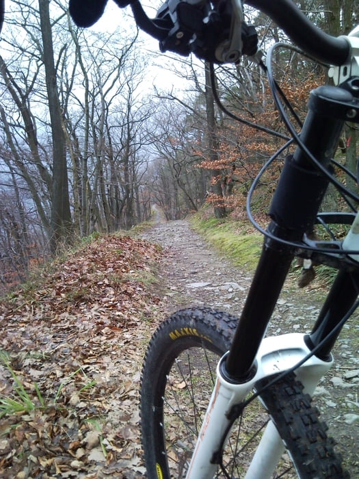 Mayschoß Fun Trail