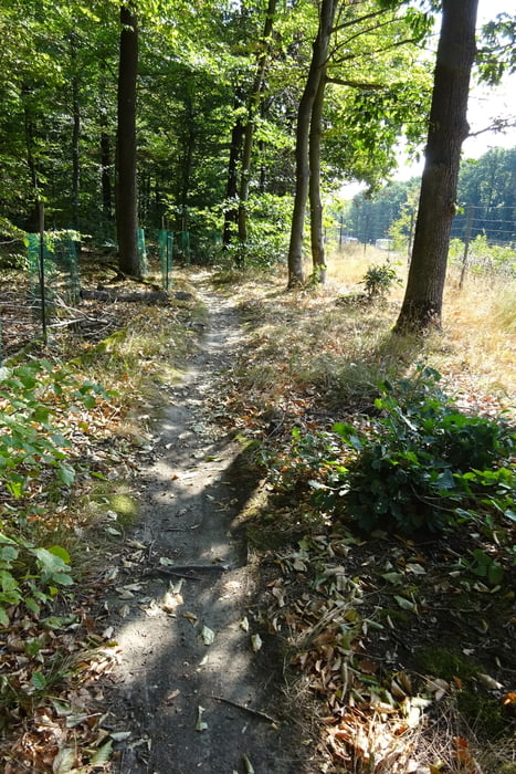 Trailrunde mit A3- und Kneipp-Trail