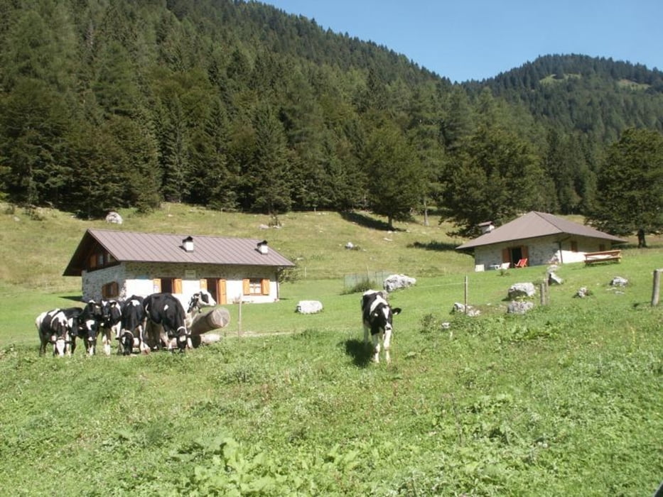 VAL ALGONE