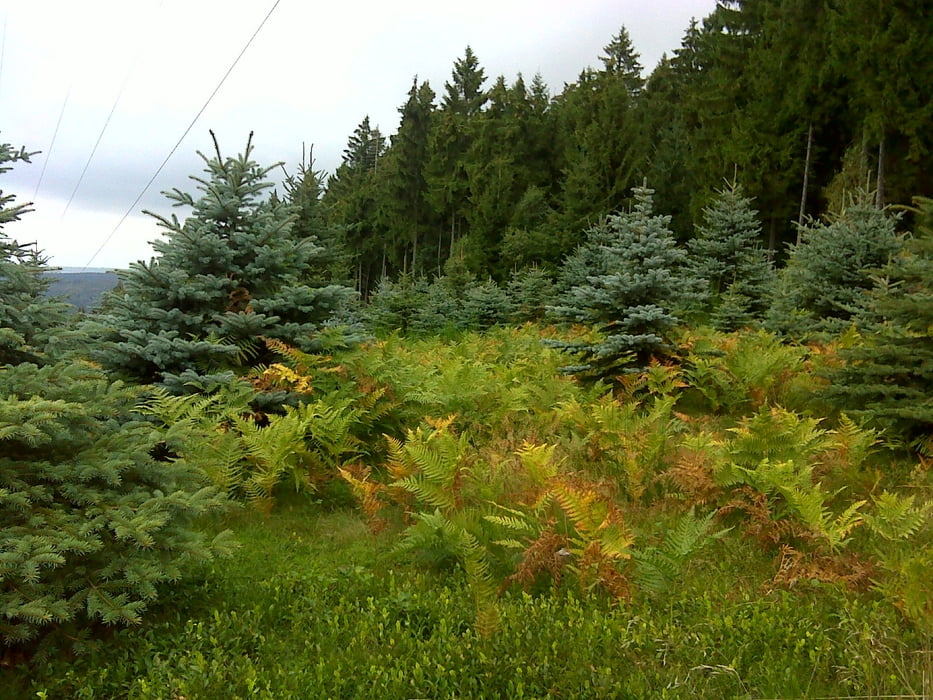 090913_Eichkopfrunde
