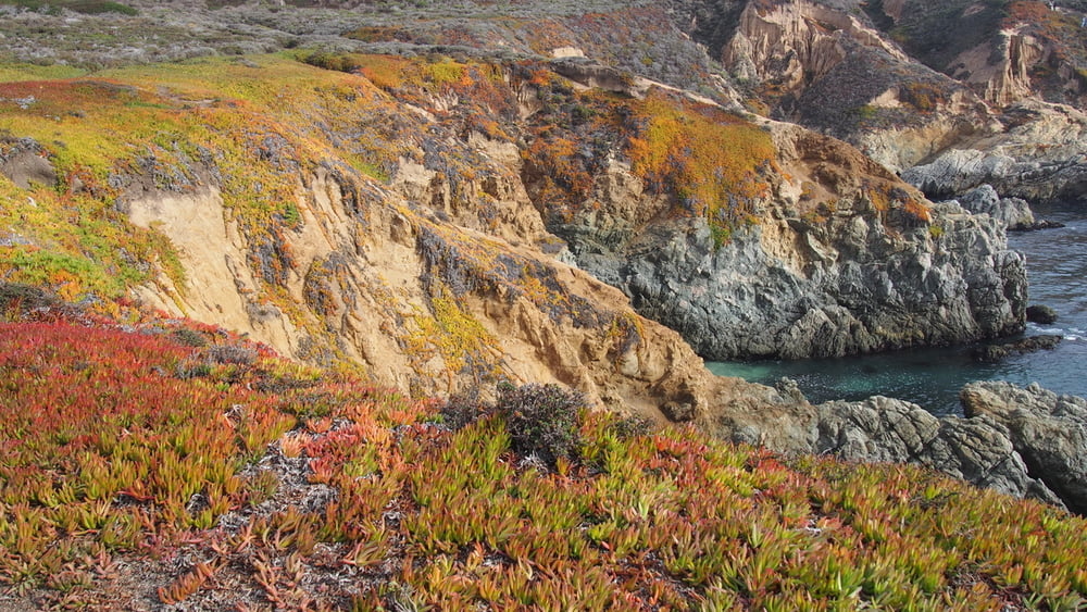140107 USA Big Sur - Whalers Peak