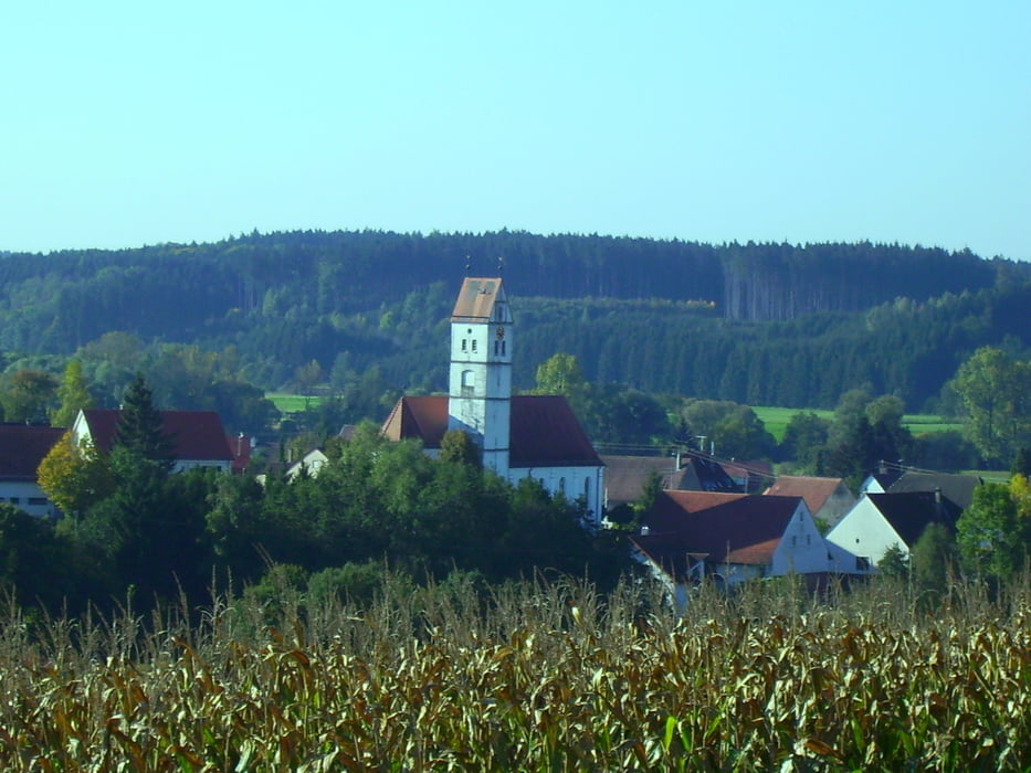 Steinberg Bussen