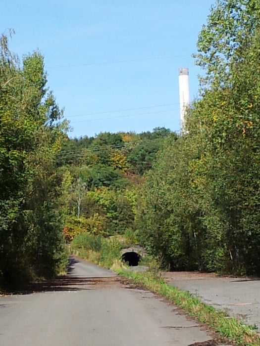 Bergkamen Halde großes Holz