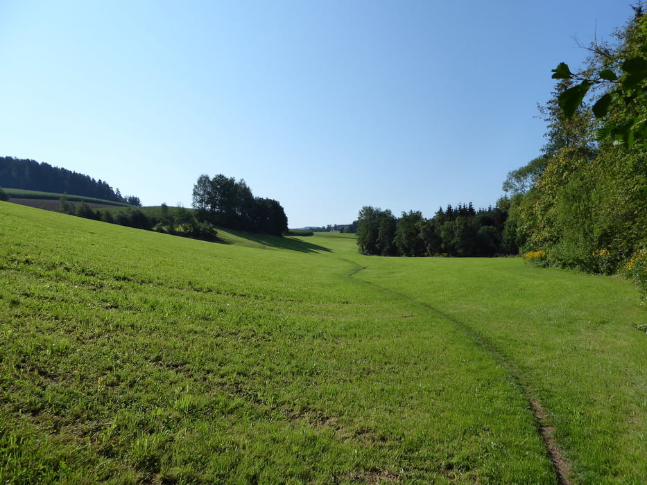 Rohrbach Naturerlebnisweg Haslach Helfenberg Schenkenfelden Zwettl 