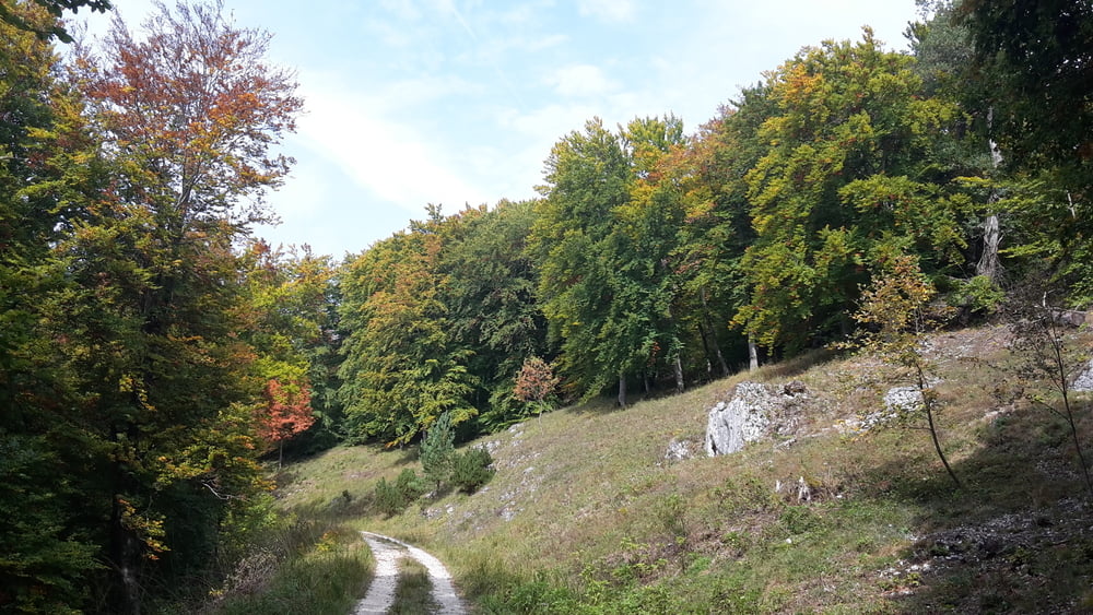 Herbstour im Lautertal