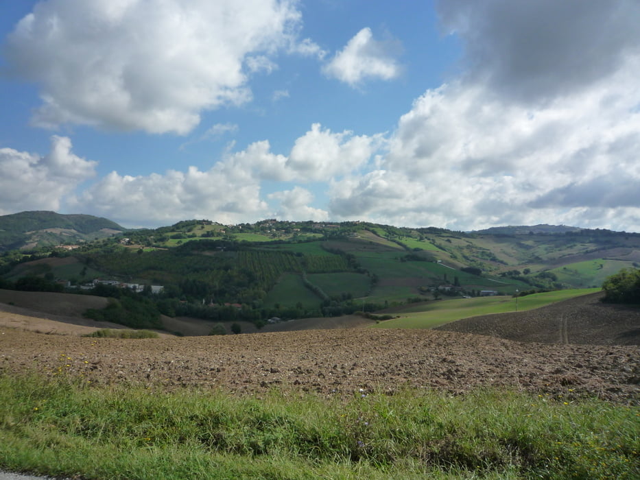 Kaffee in Urbino