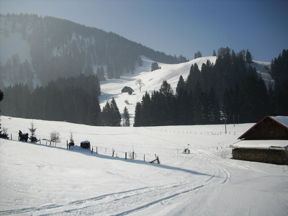 Alpsee-Bergwelt-Himmeleck