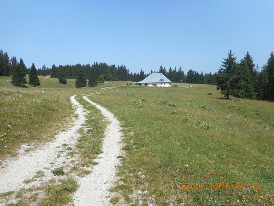 Mont d'Or - Mouthe