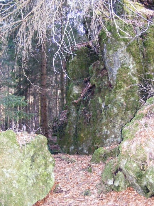 Erzweg von Lichtenegg nach Sulzbach