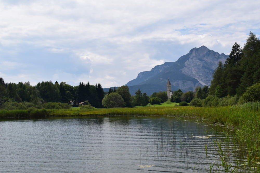 Monumenti Arborei e biotopo di Favogna
