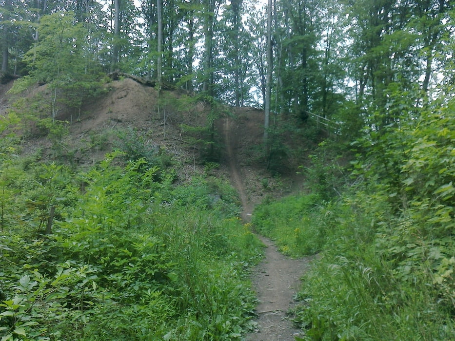 Bucheich, Eschelhof und Murrtaltrail