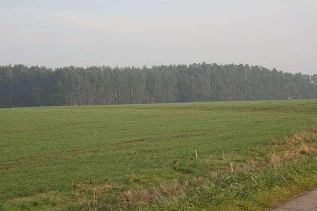 Nach Großweingarten (RH)