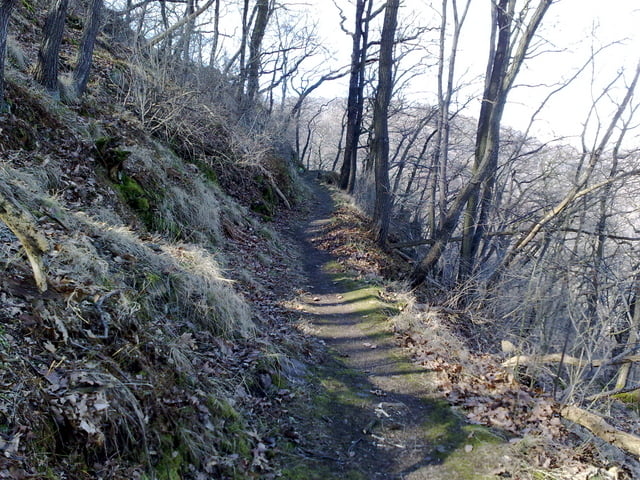 Thale-Treseburg-Bodetal