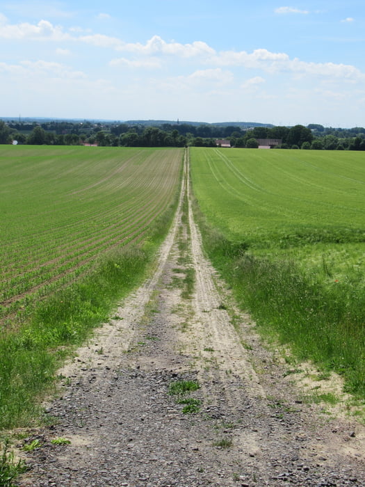 Rund Hohenholte, Havixbeck , Billerbeck, Nottuln, Longenisturm, Hohlenholte