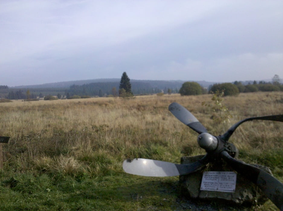 Von Sourbrodt durchs Rurvenn