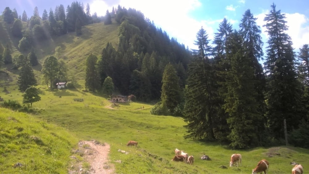 Von Marquartstein auf den Hochgern- MBG 4_32