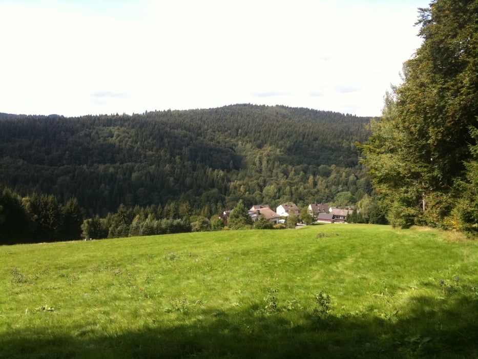 Frankenwald MTB 2