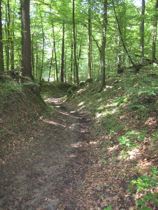 Rundfahrt:Mannheim-Mitte - Weinheim