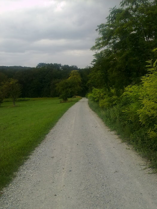 Naturpark Wüste