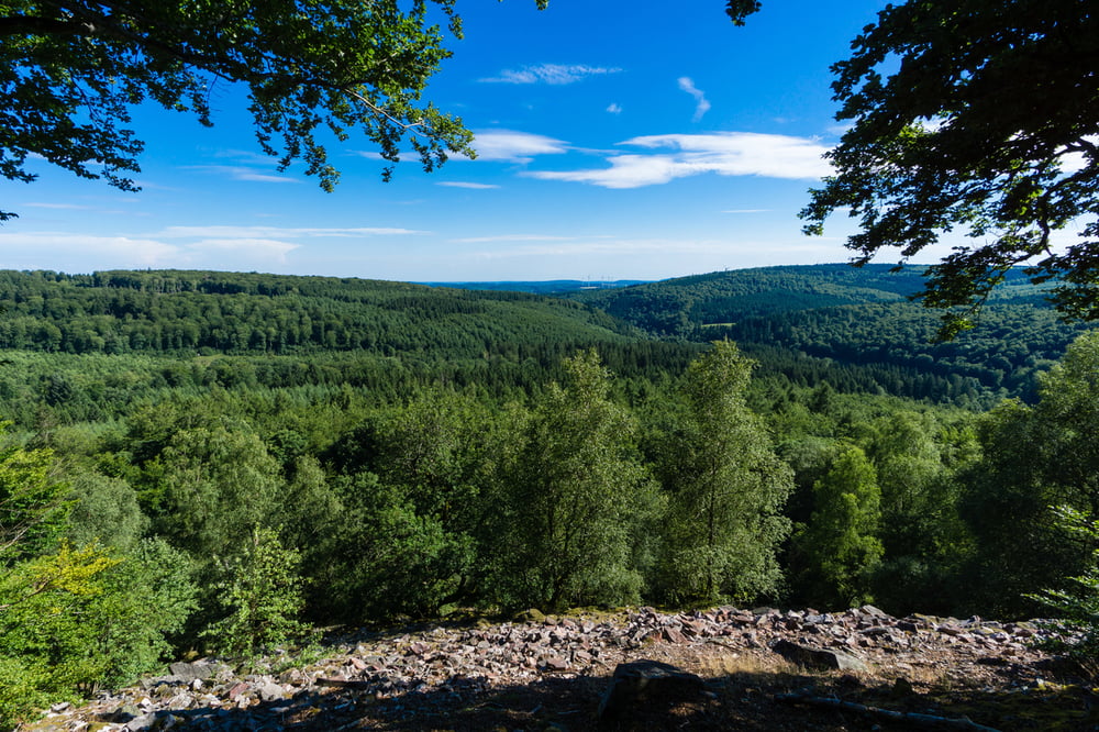 Trauntal-Höhenweg (Börfink) 
