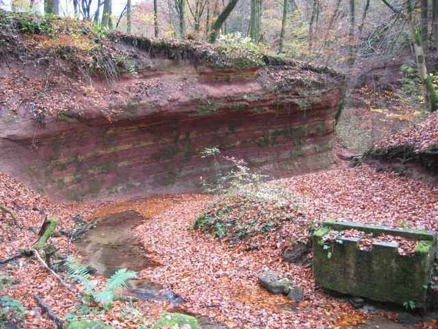 Trier auf irrwegen