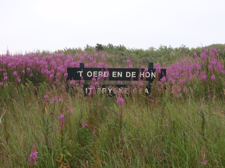 Noordhorn - Het Oerd