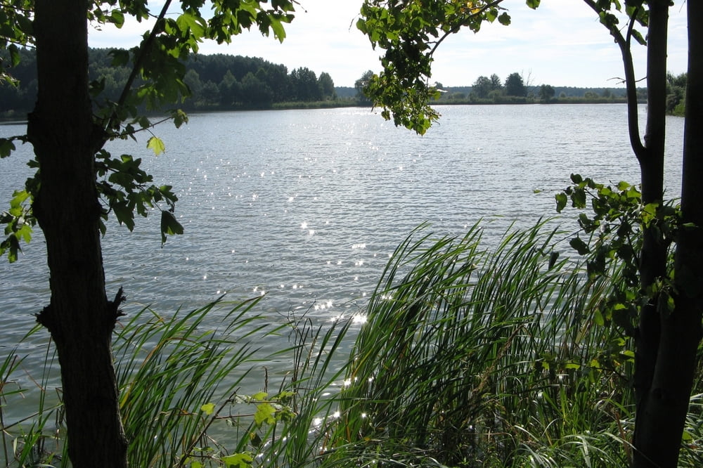 Spreewaldtour von Schlepzig nach Lübben