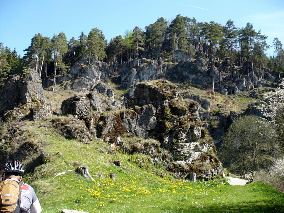 Gräfenberg-Klumpertal. Überwiegend auf Forstwegen mit längeren Wurzeltrails und Treppenabfahrt