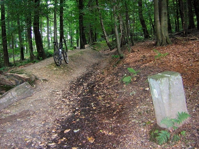 Trails im Aachener Wald