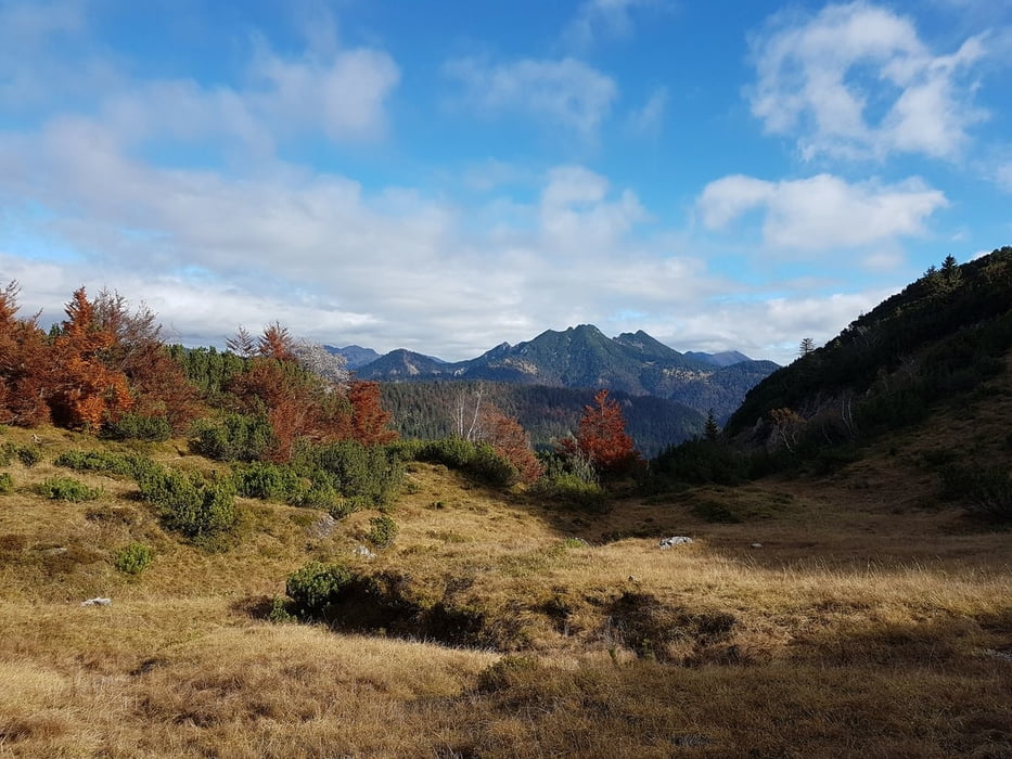 Zur Gufferthütte und Wolfschlucht