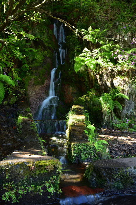 Levade de "25 Fontes"