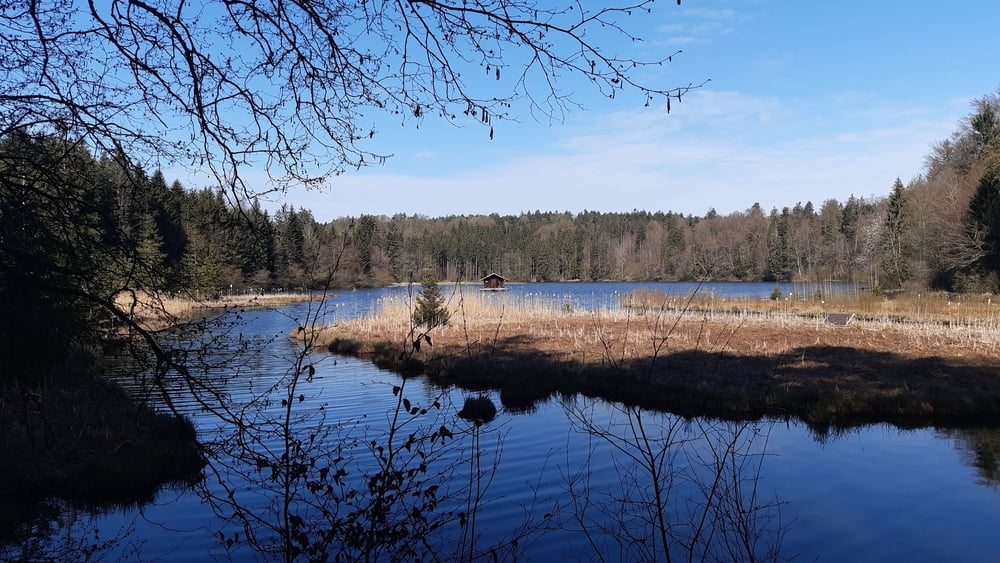 Um den Hackensee