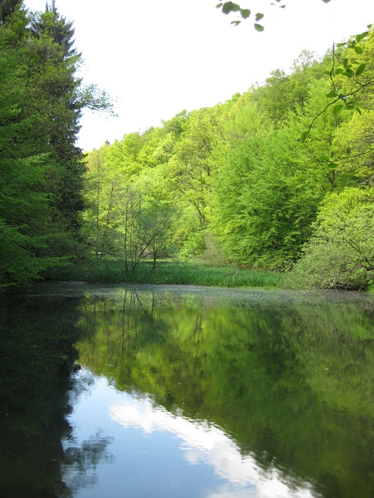 Zwischen der Brucher- und Genkeltalsperre