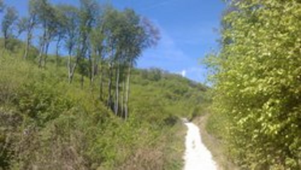 Wien Donaustadt-Wienerwald-Purkersdorf-Wien Donaustadt