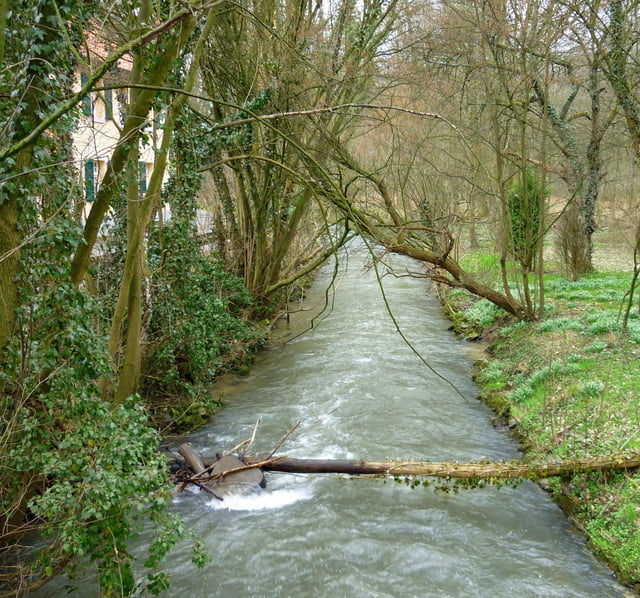 Von Kaiserswerth um den Blauen See